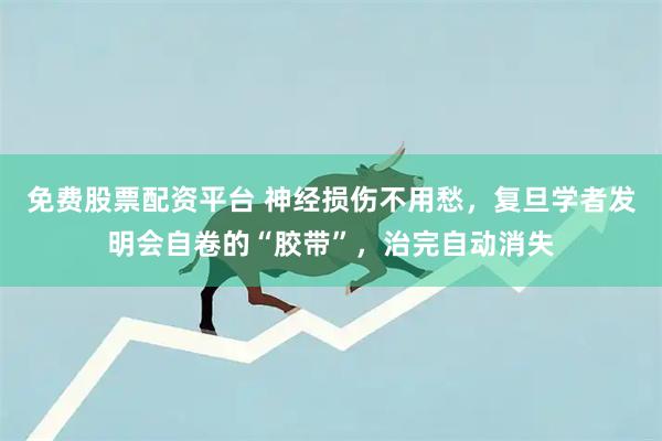 免费股票配资平台 神经损伤不用愁，复旦学者发明会自卷的“胶带”，治完自动消失