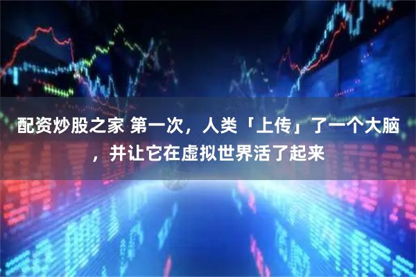 配资炒股之家 第一次，人类「上传」了一个大脑，并让它在虚拟世界活了起来