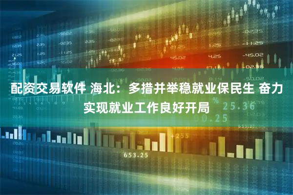配资交易软件 海北：多措并举稳就业保民生 奋力实现就业工作良好开局
